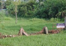রূপগঞ্জে ২০ লাখ টাকা চাঁদা দাবি, ব্যবসায়ীর জমিতে ভাঙচুর ও দখলচেষ্টার অভিযোগ