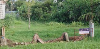 রূপগঞ্জে ২০ লাখ টাকা চাঁদা দাবি, ব্যবসায়ীর জমিতে ভাঙচুর ও দখলচেষ্টার অভিযোগ