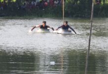রূপগঞ্জের বুকে জলরঙ্গ উৎসব: পাতিল বাইচে মাতোয়ারা দর্শনার্থীরা