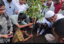 কায়েতপাড়ায় বৃক্ষরোপণ করলেন প্রশাসক আব্দুস সালাম ও প্রতিমন্ত্রী হাবিবুর রশিদ