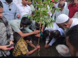 কায়েতপাড়ায় বৃক্ষরোপণ করলেন প্রশাসক আব্দুস সালাম ও প্রতিমন্ত্রী হাবিবুর রশিদ