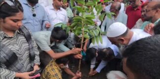 কায়েতপাড়ায় বৃক্ষরোপণ করলেন প্রশাসক আব্দুস সালাম ও প্রতিমন্ত্রী হাবিবুর রশিদ