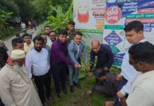 রূপগঞ্জে সমবায়ীদের উদ্যোগে বৃক্ষরোপণ কর্মসূচি