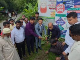 রূপগঞ্জে সমবায়ীদের উদ্যোগে বৃক্ষরোপণ কর্মসূচি