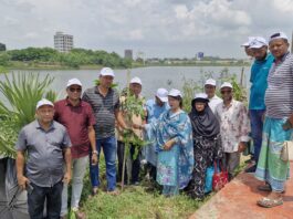 পূর্বাচল আদর্শ সেবা সংস্থার উদ্যোগে ফলজ ও বনজ বৃক্ষের চারা রোপণ !