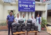 রূপগঞ্জে বিপুল পরিমাণ মাদকসহ এক নারী মাদক ব্যবসায়ীসহ ৩জন গ্রেফতার