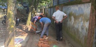 রূপগঞ্জে ছাত্রদল নেতার উদ্যোগে রাস্তা সংস্কার ও খেলাধুলার আয়োজন, বদলাচ্ছে দাউদপুরের চিত্র